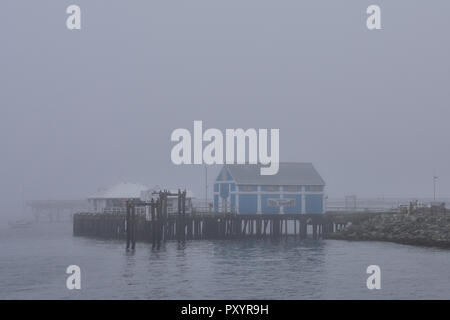 La Colombie-Britannique, Canada. 24 octobre, 2018. De l'eau anormalement chaudes dans le Pacifique nord-est combiné avec la stagnation de l'air haute pression a créé un brouillard dense dans la plupart de l'île de Vancouver, ce qui a entraîné des perturbations sur les transports. Crédit : David Tire/Alamy Live News Banque D'Images