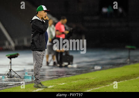 RJ - Rio de Janeiro - 24/10/2018 - South American Cup 2018 - Fluminense vs Nacional - URU - Marcelo Oliveira Fluminense coach au cours de match contre Nacional (URU) au stade de l'Engenhao 2018 Championnat coupe d'Amérique du Sud. Photo : Thiago Ribeiro / AGIF Banque D'Images