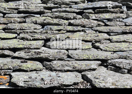 Un toit en pavillon rural type de mousse et de lichens carreaux couverts au cours d'un été ensoleillé dans le piémont des Alpes, Italie Banque D'Images