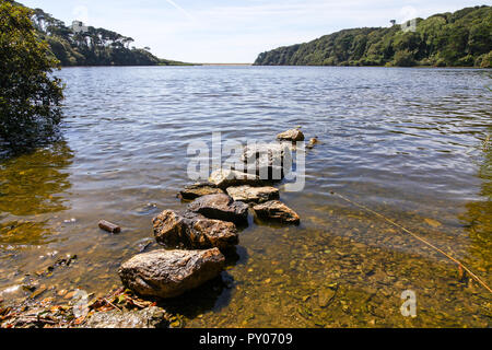 Pierres dans le Loe Loe ou extérieure, du plus grand lac naturel de Cornwall, à proximité de Loe Bar, près de Helston, Cornwall, England, UK Banque D'Images