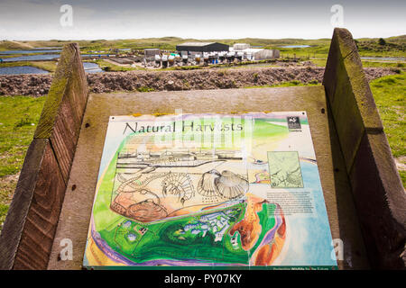 Une ferme ostréicole sur l'Île Walney, Cumbria, UK. Banque D'Images