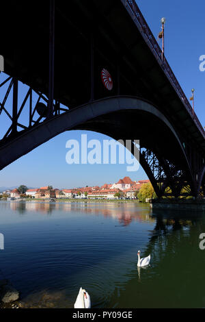 Maribor (Marburg an der Drau) : rivière Drava, pont principal plus Glavni, Vieille Ville, Quartier Carême, cygnes de , Stajerska (Styrie), Slovénie Banque D'Images