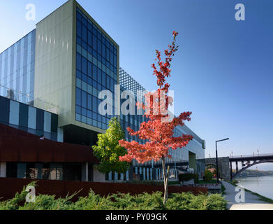 Maribor (Marburg an der Drau) : Faculté de médecine de l'université, de la rivière Drave dans , Stajerska (Styrie), Slovénie Banque D'Images