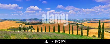 Toscane, Italie - 5 juillet 2018 : cyprès et prairie avec maison typique de Toscane, Val d'Orcia, Italie - Toscane Banque D'Images