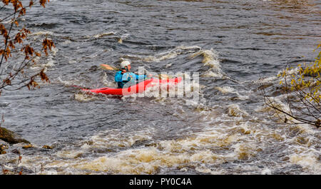 Rivière SPEY SCOTLAND EN AUTOMNE KAYAK ROUGE DANS LES RAPIDES Banque D'Images