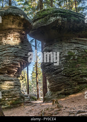 L'une des nombreuses formations de roche de grès uniques trouvés sur le chemin de la route touristique des roches de champignons dans le Parc National de Table Mountain, Pologne Banque D'Images