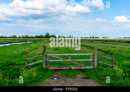 L'Europe, Pays-Bas, Zaanse Schans, un banc en bois, assis sur le dessus d'un champ verdoyant Banque D'Images