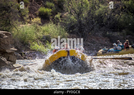 Les hommes et les femmes du rafting sur la rivière Verte se précipiter à Desolation Canyon, Utah, USA Banque D'Images