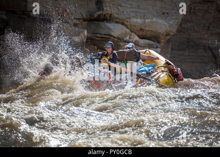 Les hommes et les femmes du rafting sur la rivière Verte se précipiter à Desolation Canyon, Utah, USA Banque D'Images