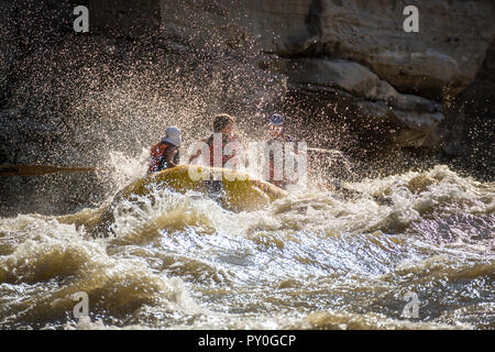 Les hommes et les femmes du rafting sur la rivière Verte se précipiter à Desolation Canyon, Utah, USA Banque D'Images