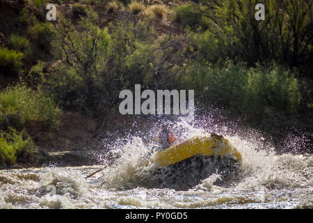 Les hommes et les femmes du rafting sur la rivière Verte se précipiter à Desolation Canyon, Utah, USA Banque D'Images