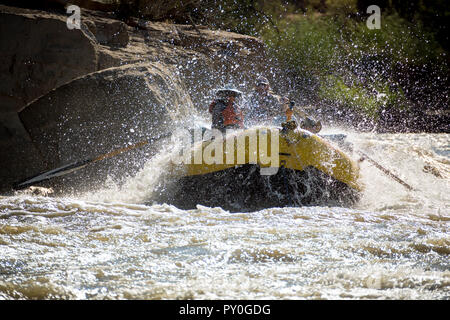 Les hommes et les femmes du rafting sur la rivière Verte se précipiter à Desolation Canyon, Utah, USA Banque D'Images