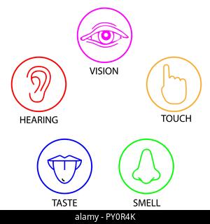 Ensemble de cinq sens humains. Vision, ouïe, toucher, goût, odorat icon Illustration de Vecteur