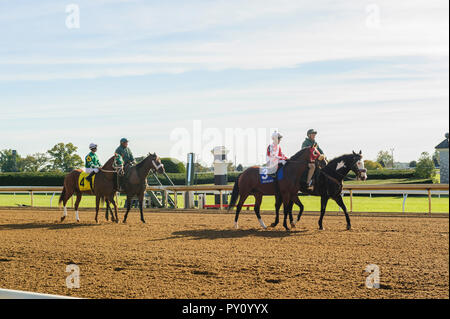 Rencontrez Automne à Keeneland Race Track à Lexington Kentucky Banque D'Images