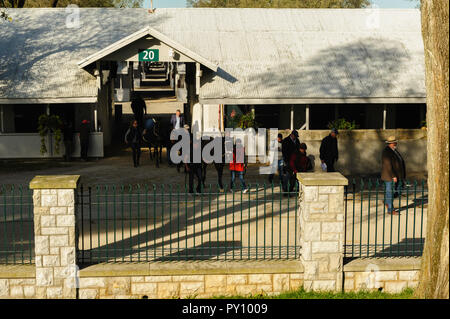 Rencontrez Automne à Keeneland Race Track à Lexington Kentucky Banque D'Images