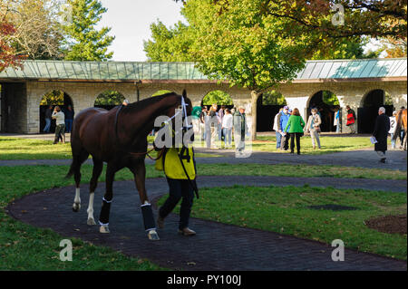 Rencontrez Automne à Keeneland Race Track à Lexington Kentucky Banque D'Images