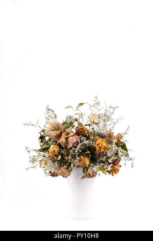 Fleurs séchées dans un vase sur fond blanc Banque D'Images
