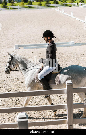 Vue latérale du beau mâle equestrian à casque noir, Veste et culotte blanche à cheval horse club Banque D'Images