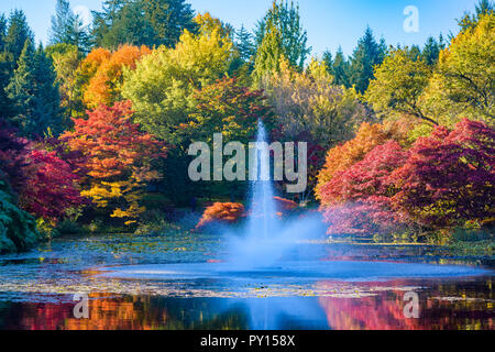 La couleur de l'automne, le Jardin botanique VanDusen, Vancouver, British Columbia, Canada Banque D'Images