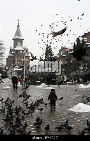 Les pigeons entourent un petit enfant, qui se tourne vers sa mère en face de la cathédrale orthodoxe métropolitaine sur la Place Victoria à Timisoara, Roumanie Banque D'Images