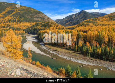 Couleurs d'automne le long de la rivière Middle fork sur la frontière du parc national des Glaciers, à Essex, Montana Banque D'Images