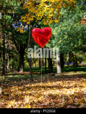 Ballon rouge va à l'autumn park contre l'arrière-plan de feuillage jaune tombé et arbres Banque D'Images