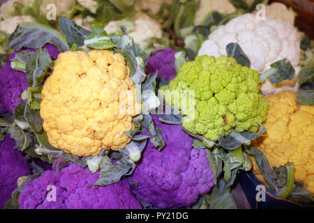 Différentes variétés de chou-fleur de couleur, Rusty's Markets, Cairns, Queensland, Australie Banque D'Images