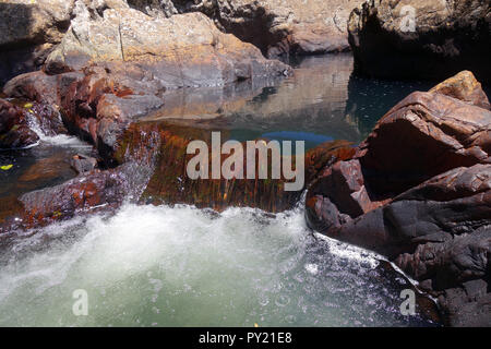 Piscine spa naturel à Walter's Waterhole, Koolmoon Creek Track, Misty Mountains, Parc National de Wooroonooran, Tully Gorge National Park et Chutes Tully N Banque D'Images