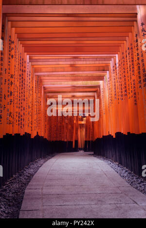 Licence et estampes sur MaximImages.com - passage Senbon torii à Fushimi Inari Taisha, temple principal de dieu Inari à Kyoto, Japon. Banque D'Images