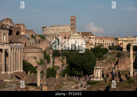 Vue sur le Forum romain dans le soleil du soir avec de nombreux édifices romains antiques célèbres, y compris le Colisée et de nombreux temples Banque D'Images