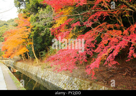 Route de la philosophie d'automne à Kyoto Banque D'Images