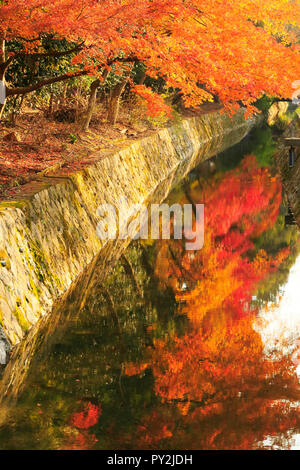 Route de la philosophie d'automne à Kyoto Banque D'Images