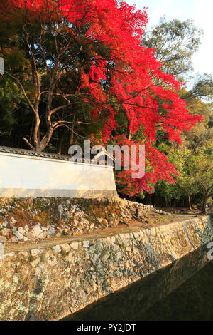 Route de la philosophie d'automne à Kyoto Banque D'Images