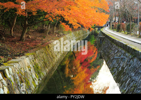 Route de la philosophie d'automne à Kyoto Banque D'Images