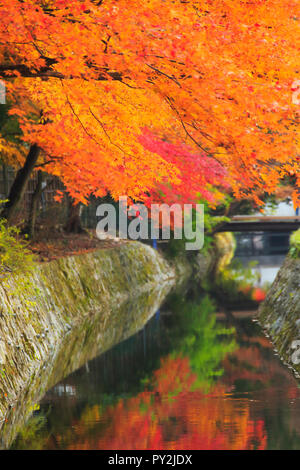 Route de la philosophie d'automne à Kyoto Banque D'Images