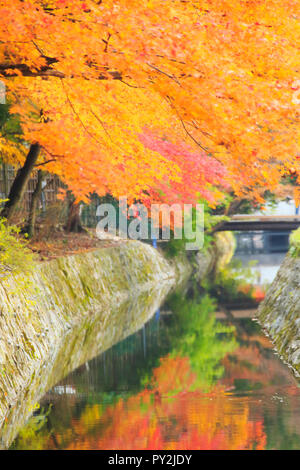 Route de la philosophie d'automne à Kyoto Banque D'Images