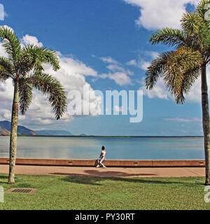 L'appréciation, le front de Cairns Esplanade parc. des palmiers, de la jetée et du port de plaisance Banque D'Images