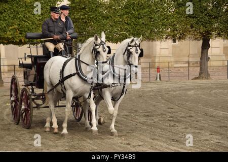 Chevaux de formation à l'Écuries Royales, Christiansborg Palace, Copenhague Banque D'Images