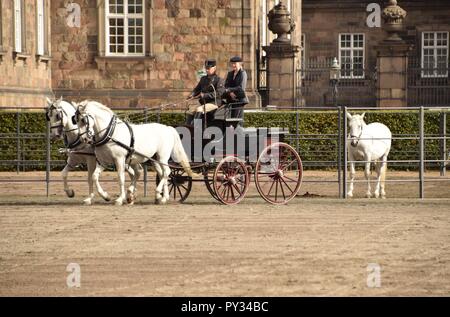 Chevaux de formation à l'Écuries Royales, Christiansborg Palace, Copenhague Banque D'Images