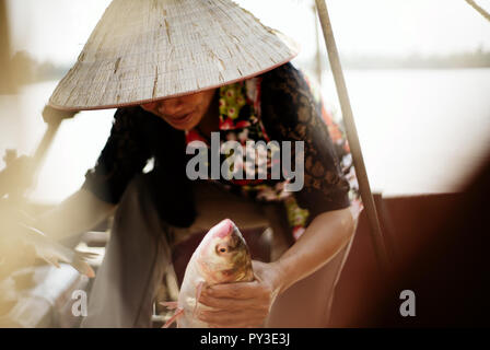 Pêcheuse vietnamiens en chapeau conique (non la) tenant un poisson et sortir du bateau quelque part sur le delta du fleuve Rouge Banque D'Images