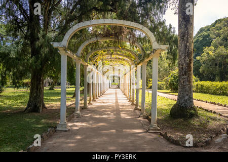 Jardim Botanico Botanical Garden - Rio de Janeiro, Brésil Banque D'Images