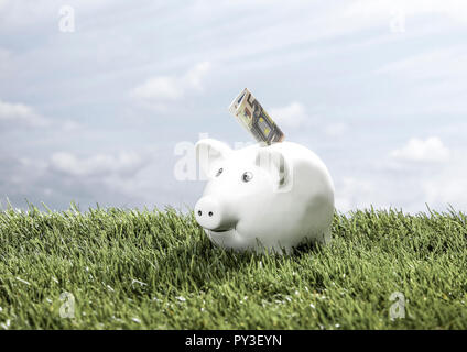 Sparschwein steht dans Wiese, mit Geldschein Banque D'Images