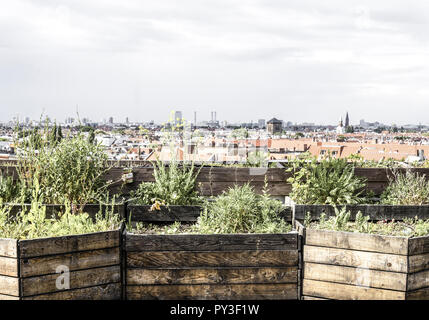 Bepflanzte Meerblick in einer Grossstadt Banque D'Images