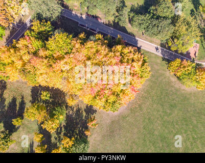 Vue du haut du parc de la ville à l'automne. couleur jaune, orange, rouge le feuillage des arbres du parc Banque D'Images