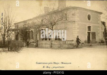 Campugnan - domaine de Morillon 2. Banque D'Images