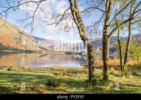 Réflexions sur Llyn Gwynant dans le Nant Gwynant Valley, Parc National de Snowdonia, le Nord du Pays de Galles, Royaume-Uni Banque D'Images