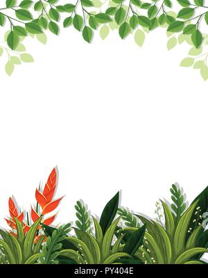 Bird of Paradise flower border illustration Illustration de Vecteur