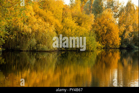 Réflexions d'automne à Colwick Country Park à Nottingham, Nottinghamshire England UK Banque D'Images