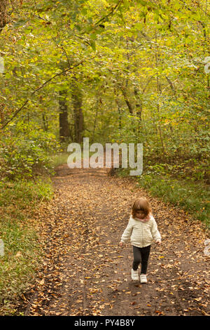 Bébé fille marcher seule sur un chemin en décor de l'automne. Tir vertical. Banque D'Images