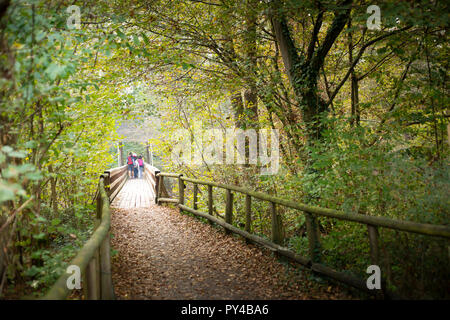 Pedestral pont dans les bois avec des gens de la randonnée dans la Fagiana, Parco Ticino, Magenta, Italie. Banque D'Images